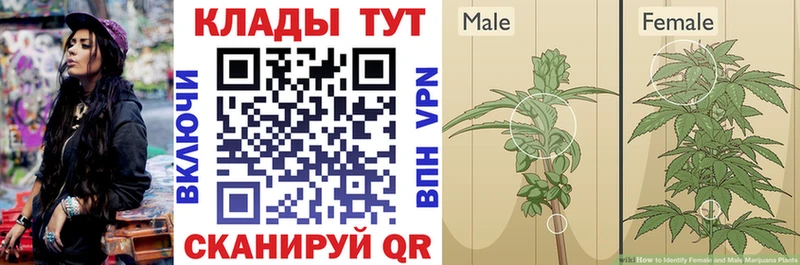 Сколько стоит Чердынь MEGA как зайти  A PVP  Каннабис  COCAIN 