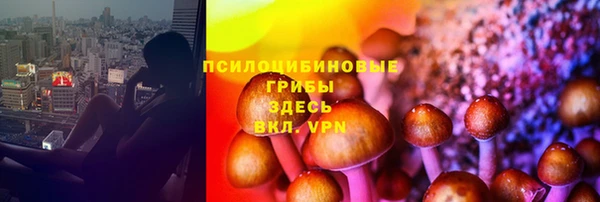 спиды Алексин
