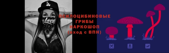 спиды Алексин