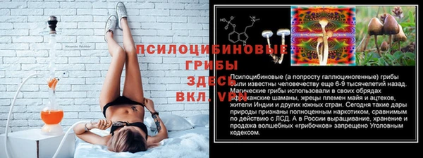 спиды Алексин