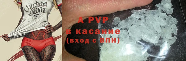 PSILOCYBIN Абаза